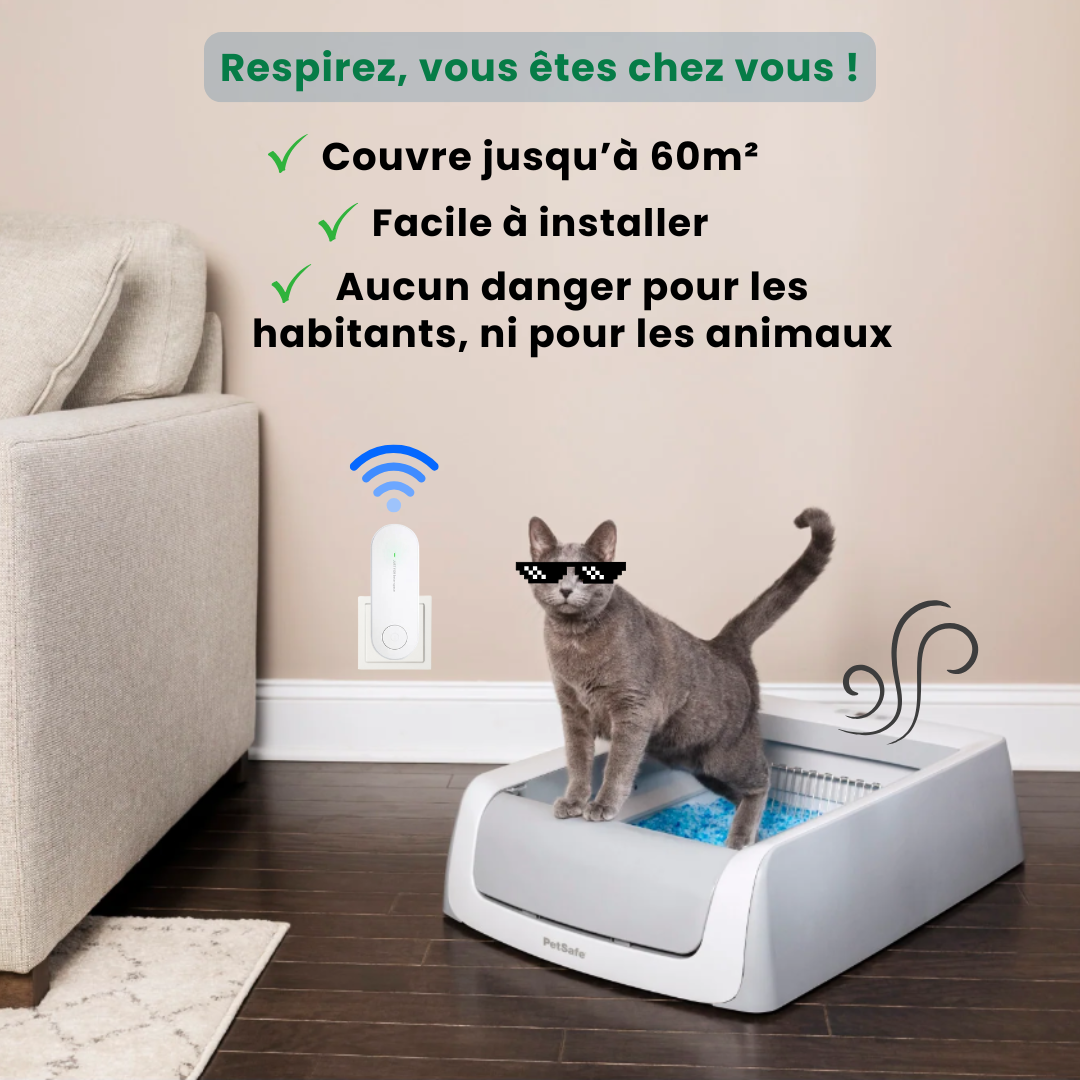 CATFRESH