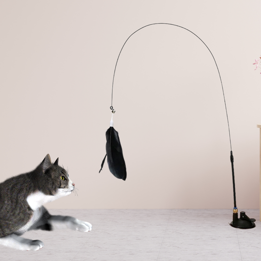 Jouet à ventouse avec plume